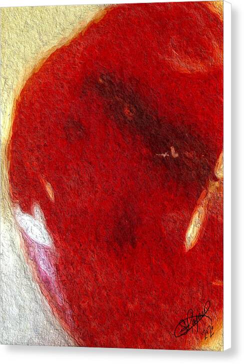 Carnelian - Canvas Print