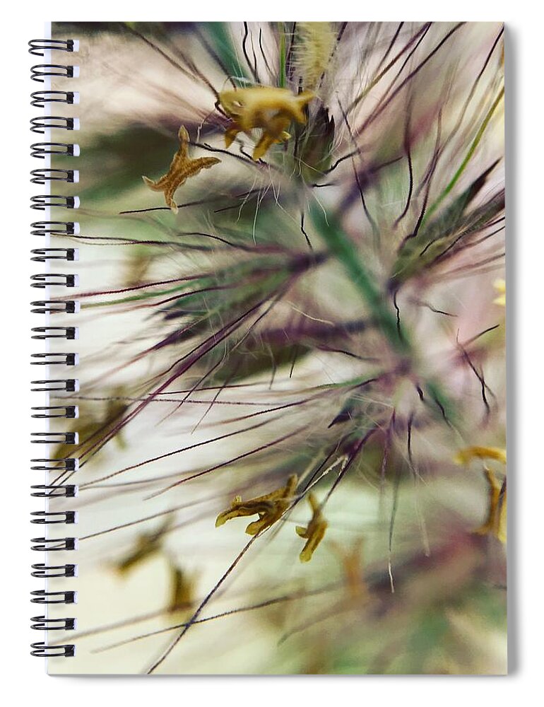 Foxtail - Spiral Notebook