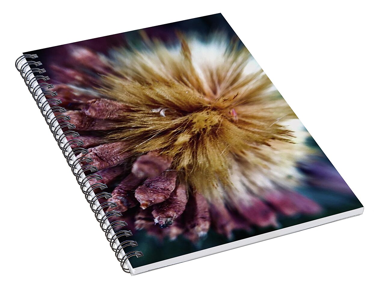 Seed Pod - Spiral Notebook