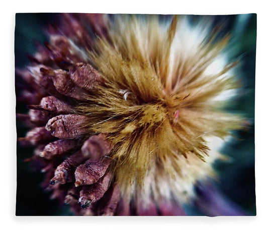 Seed Pod - Blanket