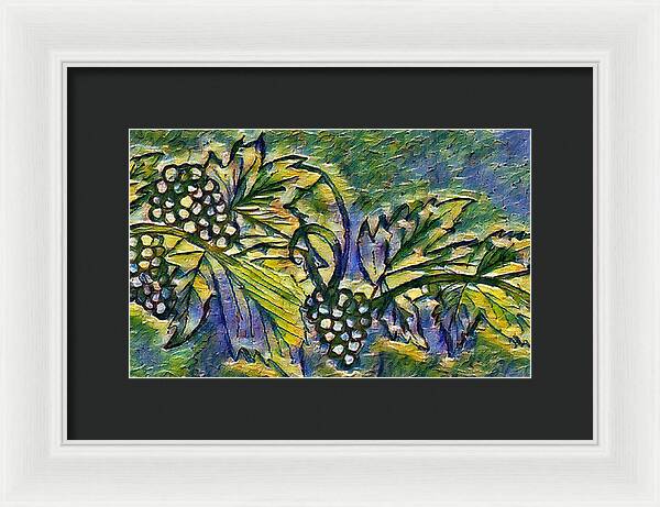 The Grape Vine - Framed Print