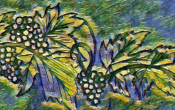 The Grape Vine - Unframed Art Print