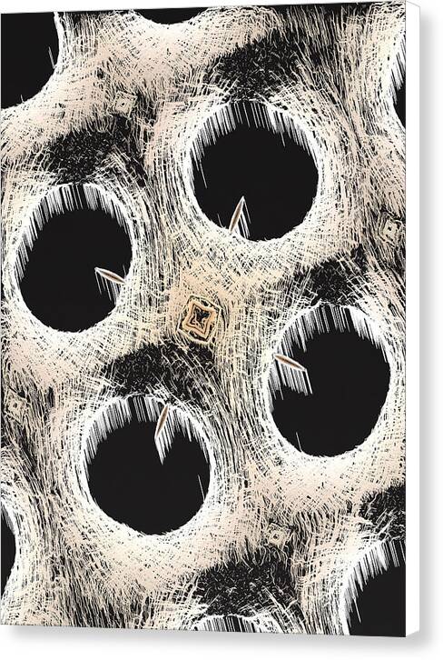 The Voids - Canvas Print