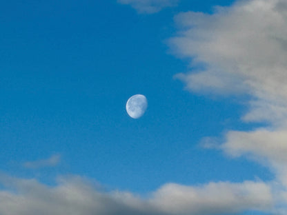 The Moon in March
