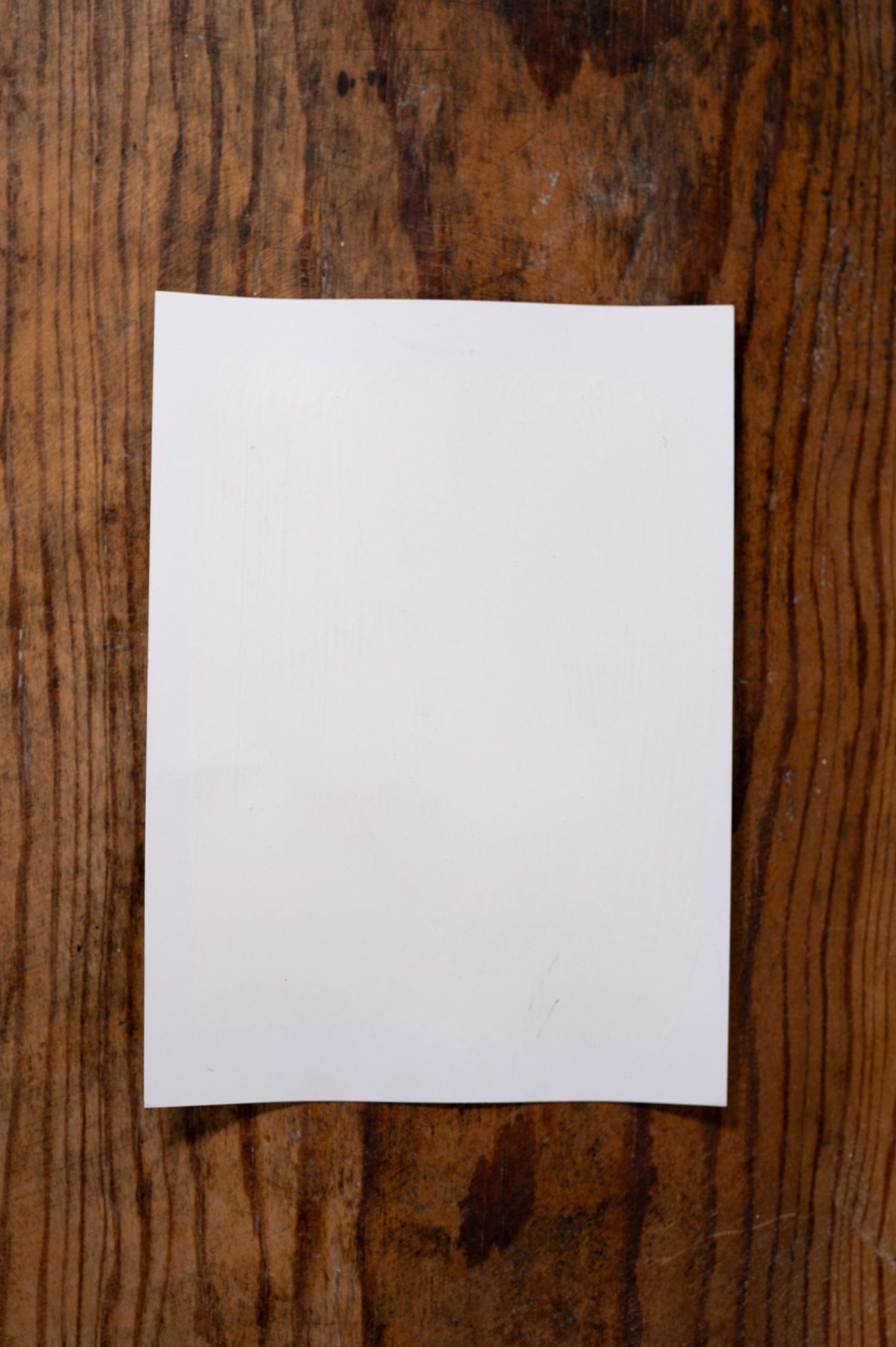 Momma's Pearls - Manor Borne Wall Paint