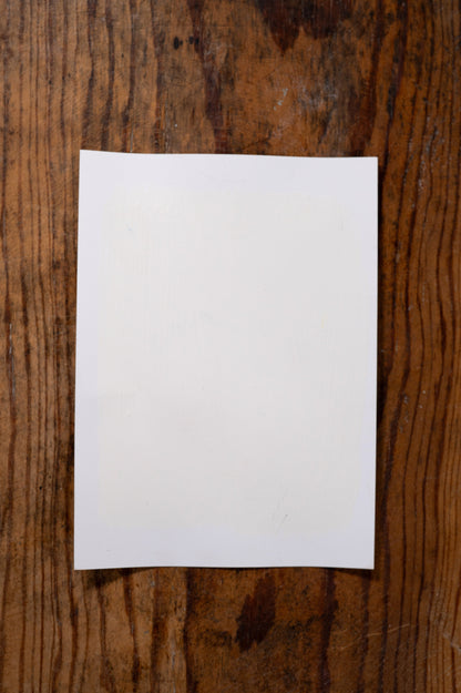 Momma's Pearls - Manor Borne Wall Paint