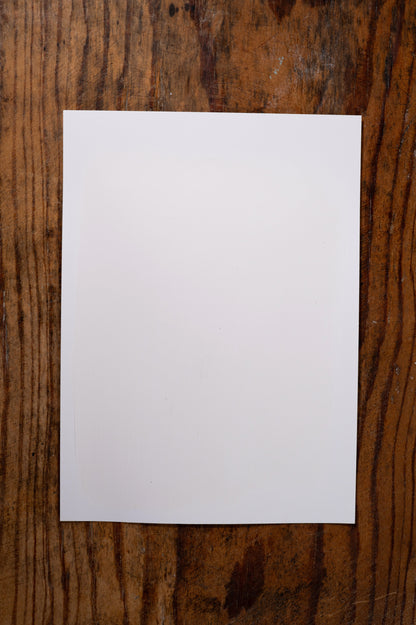 Beautiful Bride - Manor Borne Wall Paint