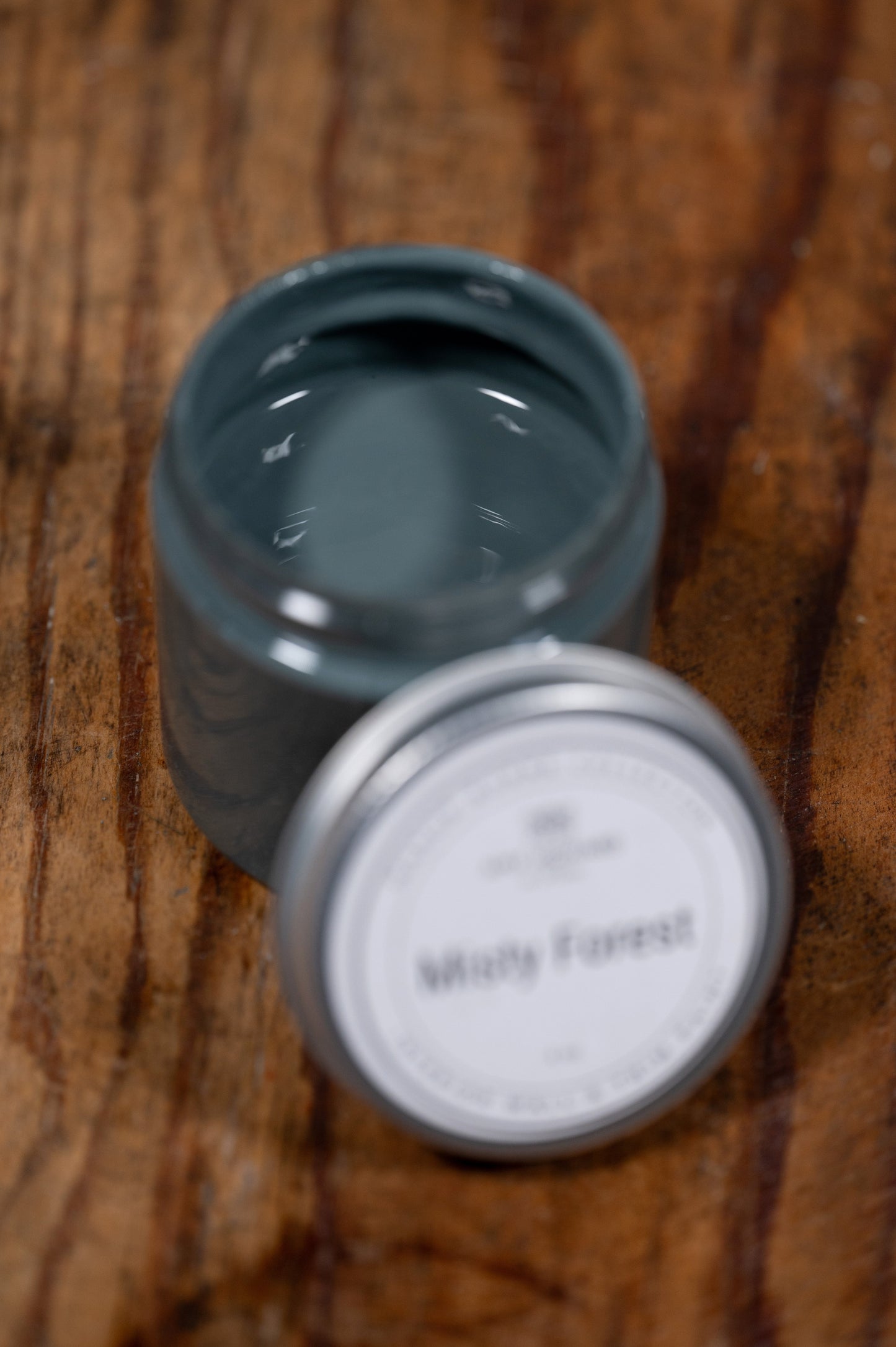 Misty Forest  - Manor Borne Wall Paint