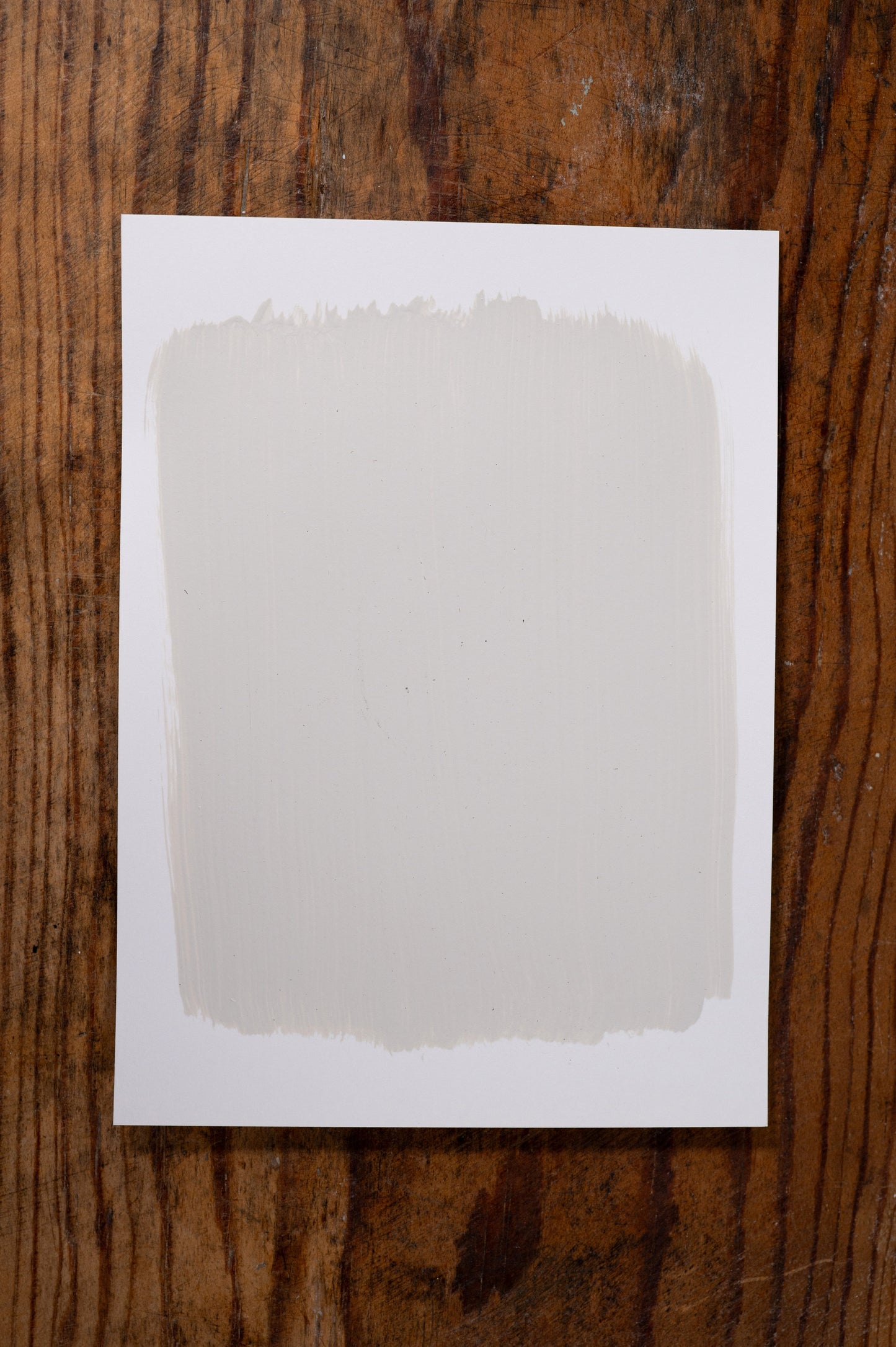 Cotton Blossom - Manor Borne Wall Paint