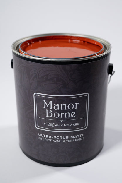 Sunset Engagement - Manor Borne Wall Paint