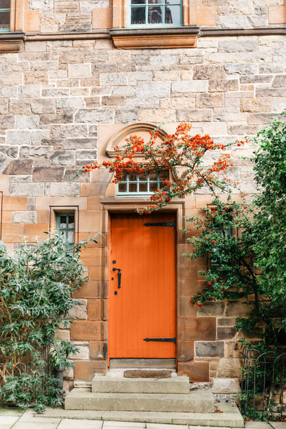 Curb Appeal Bundle