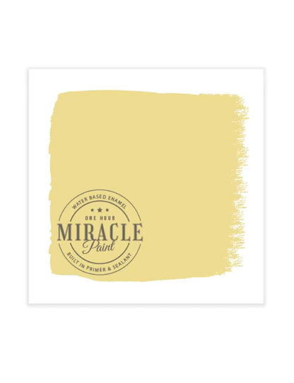 Miracle Paint Bundle