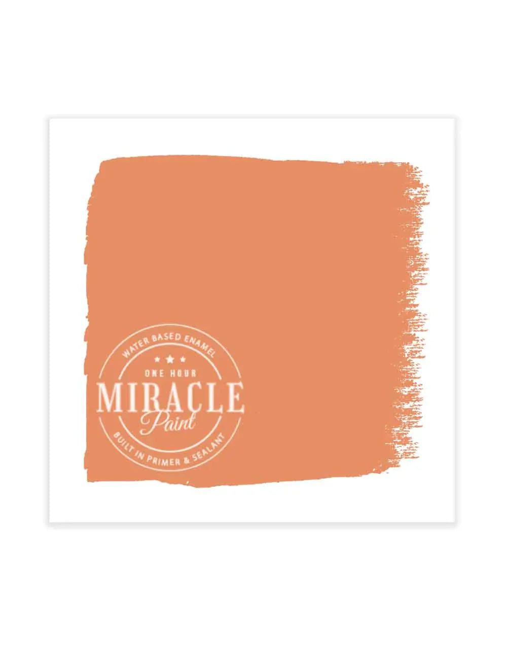 Miracle Paint Bundle