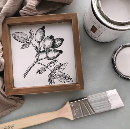 One Step Paint - Spa White