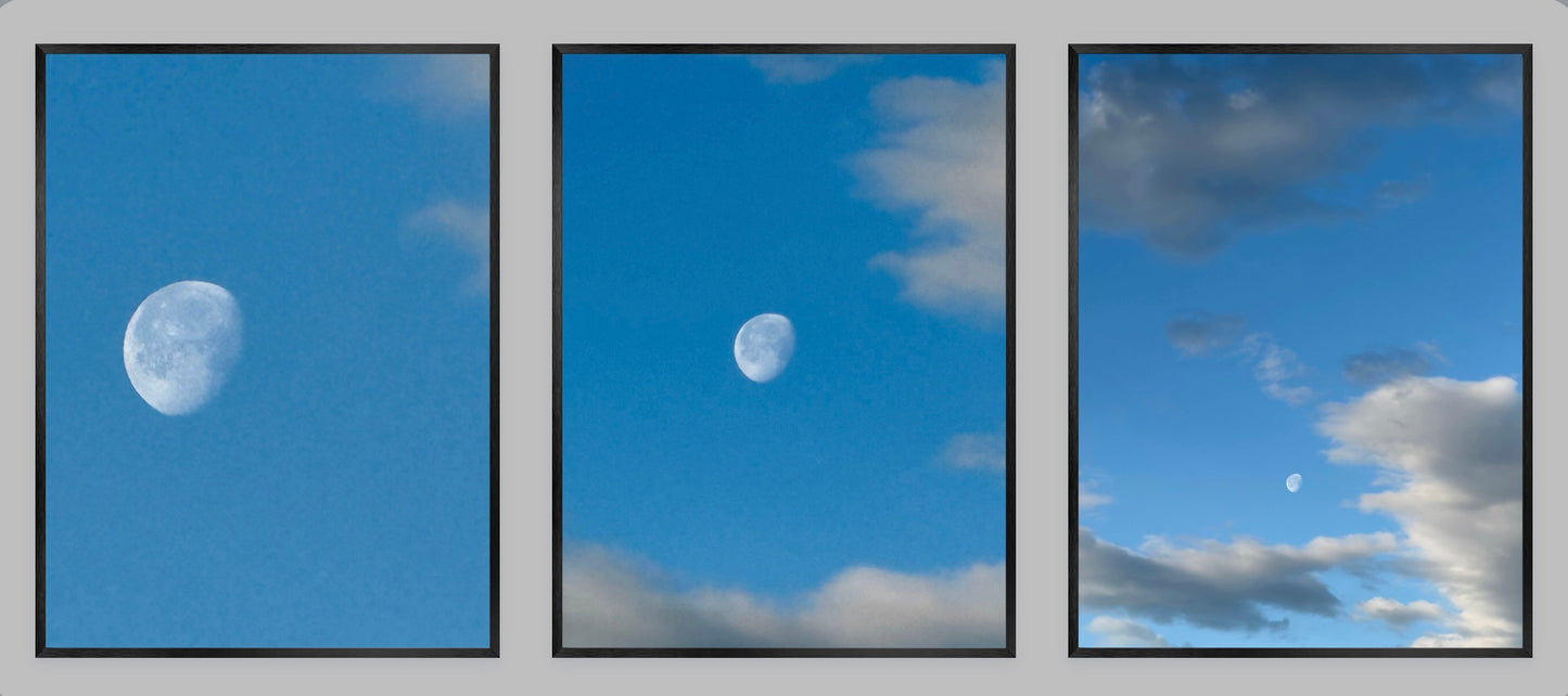 The Moon in March