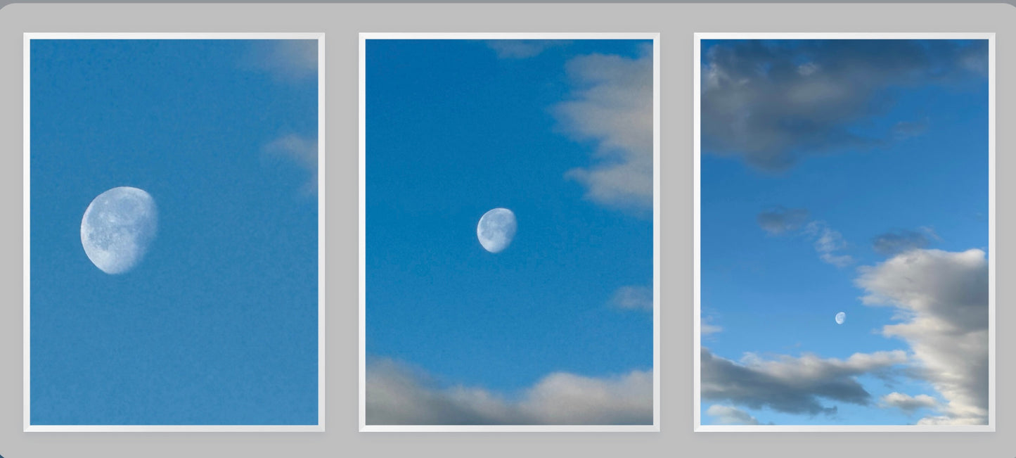 The Moon in March