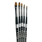 Trekell Golden Taklon Short Handle Artist Brush -  Complete Set - Cat's Tongue