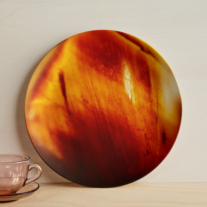 Tiger Eye 10" Plate
