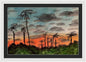 California Sunsets - Framed Print