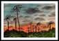 California Sunsets - Framed Print