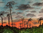 California Sunsets - Puzzle