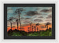California Sunsets - Framed Print