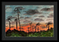 California Sunsets - Framed Print