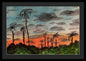 California Sunsets - Framed Print