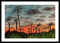 California Sunsets - Framed Print