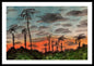 California Sunsets - Framed Print
