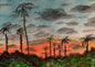 California Sunsets - Puzzle