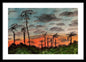California Sunsets - Framed Print