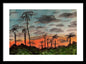 California Sunsets - Framed Print