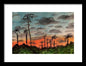 California Sunsets - Framed Print