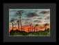 California Sunsets - Framed Print