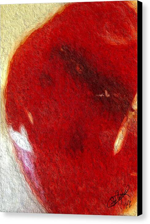 Carnelian - Canvas Print