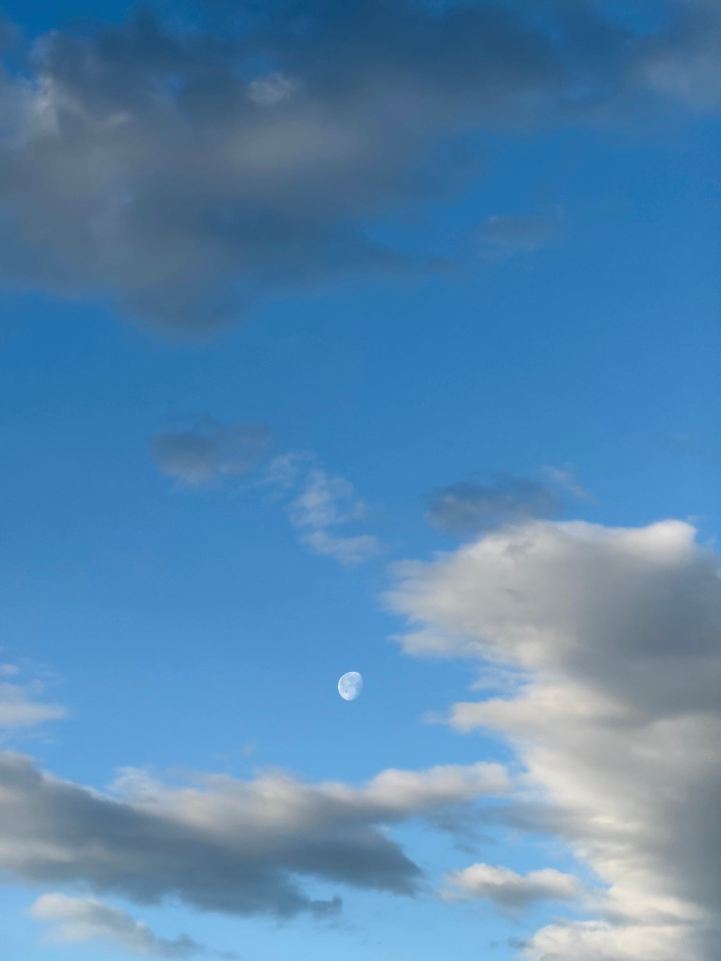 The Moon in March