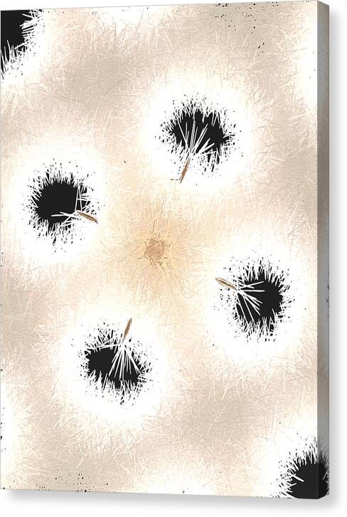 Dandelion Glaze - Canvas Print