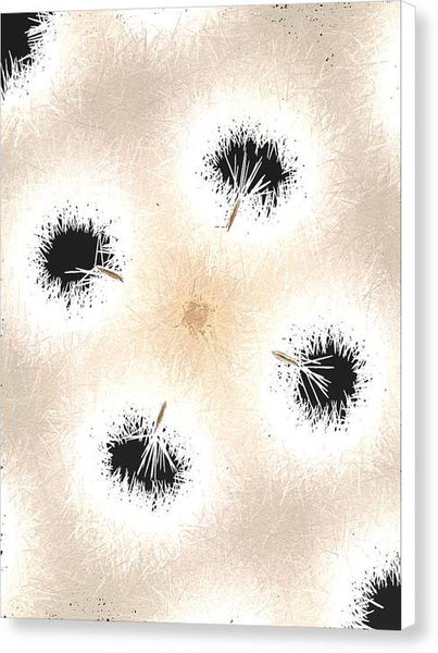 Dandelion Glaze - Canvas Print