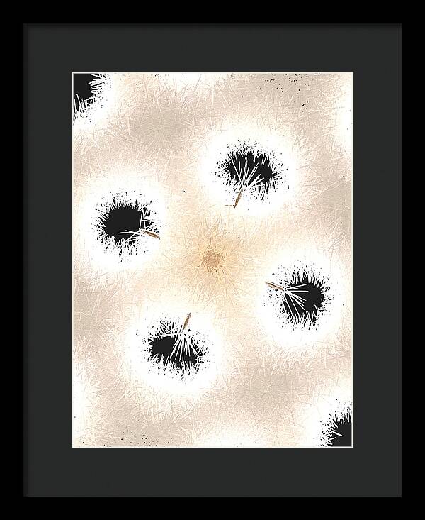Dandelion Glaze - Framed Print
