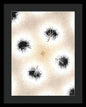 Dandelion Glaze - Framed Print