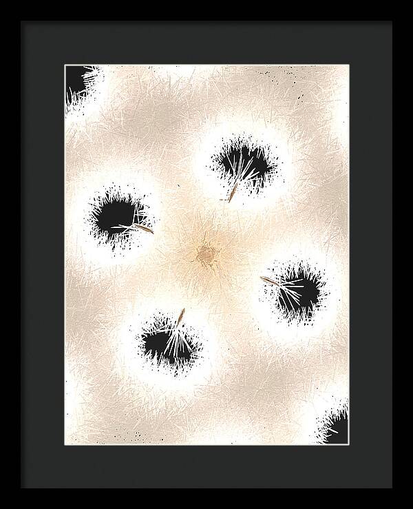Dandelion Glaze - Framed Print