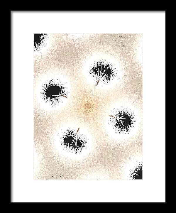 Dandelion Glaze - Framed Print