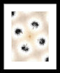 Dandelion Glaze - Framed Print