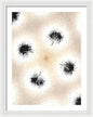 Dandelion Glaze - Framed Print