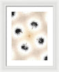 Dandelion Glaze - Framed Print
