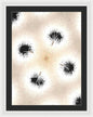 Dandelion Glaze - Framed Print