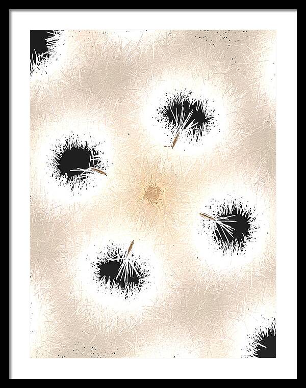 Dandelion Glaze - Framed Print