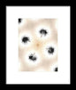 Dandelion Glaze - Framed Print
