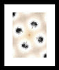 Dandelion Glaze - Framed Print